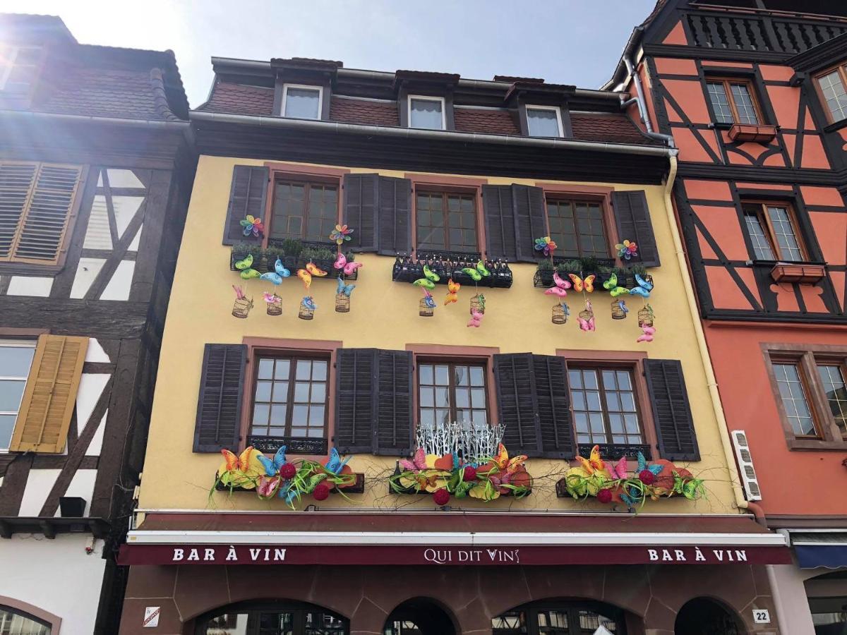 Les Appartements D'Alicia Obernai Dış mekan fotoğraf