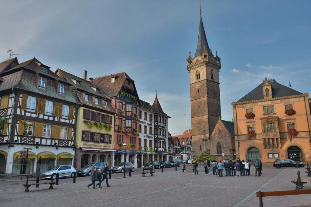 Les Appartements D'Alicia Obernai Dış mekan fotoğraf